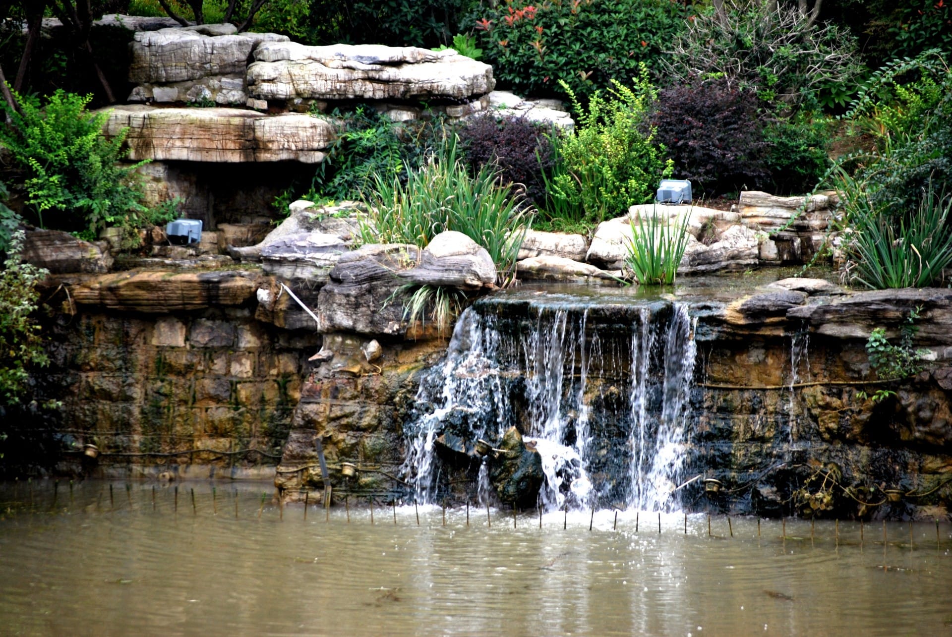 Natural setting in the Finger Lakes region