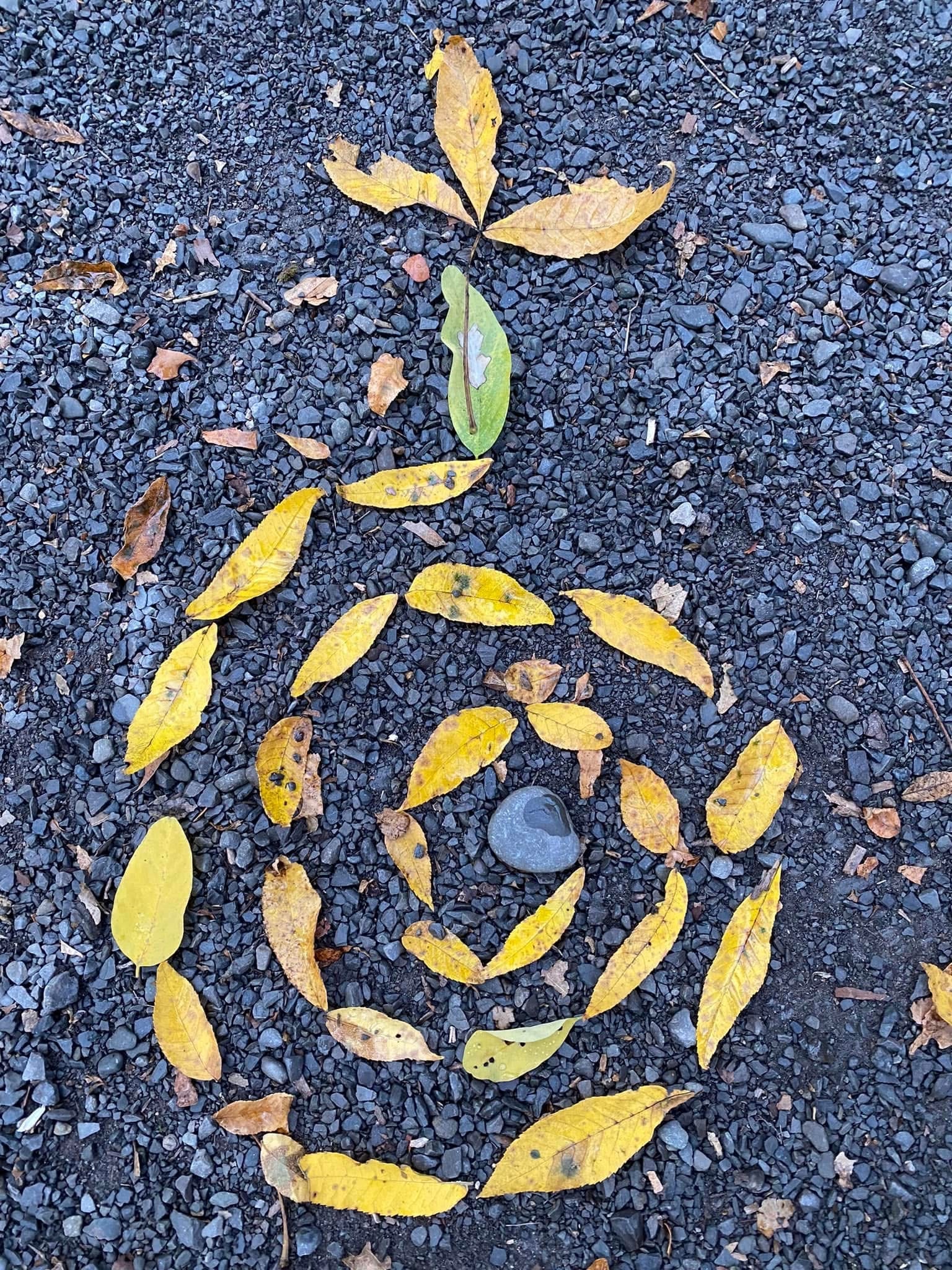 A spiral made of newly fallen leaves
